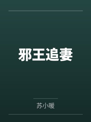 邪王追妻封面