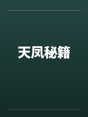 天凤秘籍封面