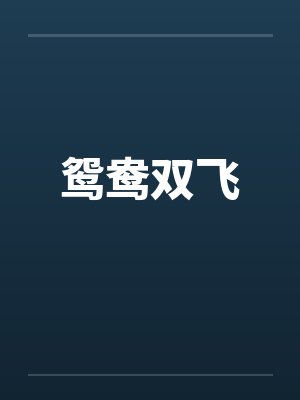 鸳鸯双飞封面