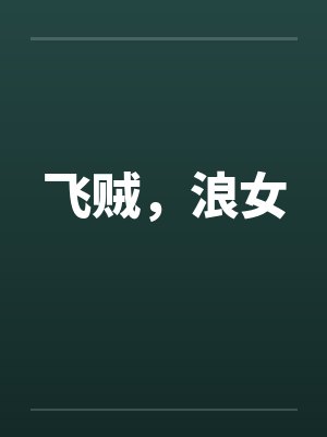 飞贼，浪女封面