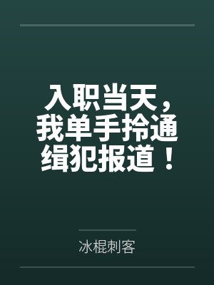入职当天，我单手拎通缉犯报道！封面