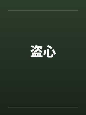 盗心封面
