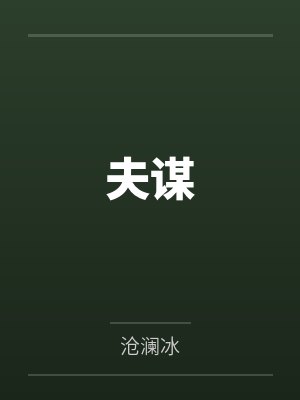 夫谋by沧澜冰封面