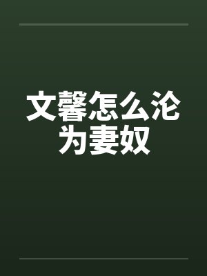 文馨怎么沦为妻奴封面