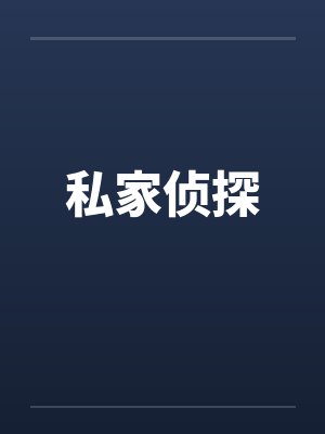 私家侦探封面