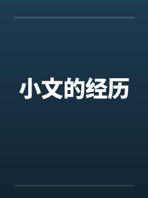 小文的经历封面