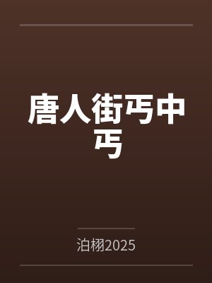 唐人街丐中丐封面