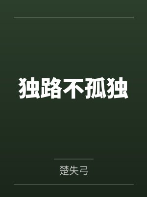 独路不孤独封面