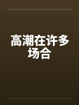 高潮在许多场合封面