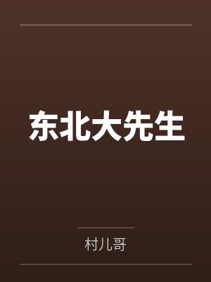 东北大先生封面