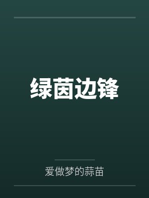 绿茵边锋封面