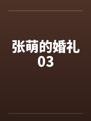 张萌的婚礼03封面