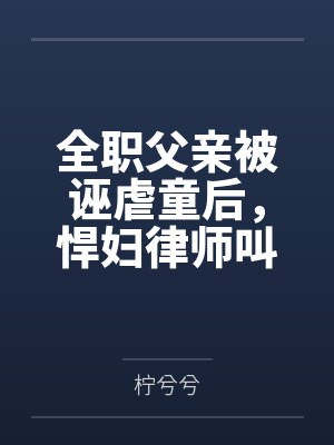 全职父亲被诬虐童后，悍妇律师叫我老板封面