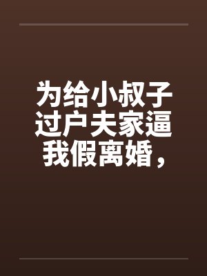 为给小叔子过户夫家逼我假离婚，我真离后他们疯了封面