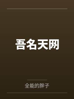 吾名天网封面