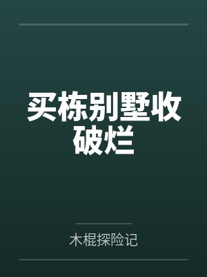 林昆张灵芸买栋别墅收破烂封面