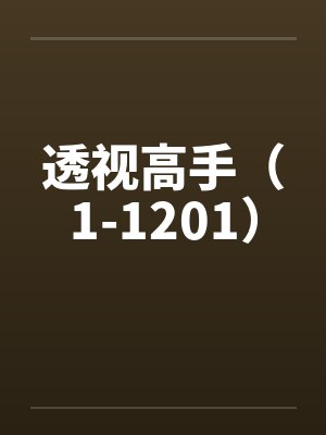 透视高手（1-1201）封面