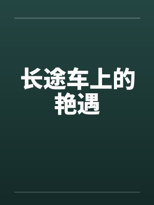 长途车上的艳遇封面