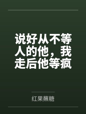说好从不等人的他，我走后他等疯了封面