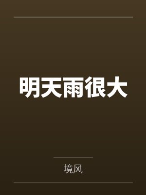 林从沚助理明天雨很大封面