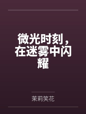 微光时刻，在迷雾中闪耀封面