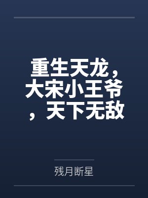 重生天龙，大宋小王爷，天下无敌封面