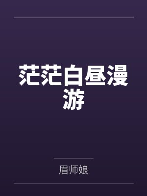 茫茫白昼漫游封面